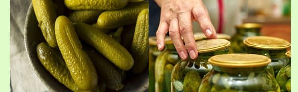 Health Benefits: Cucumber Water for a Healthier Lifestyle Pickles, which are a natural probiotic